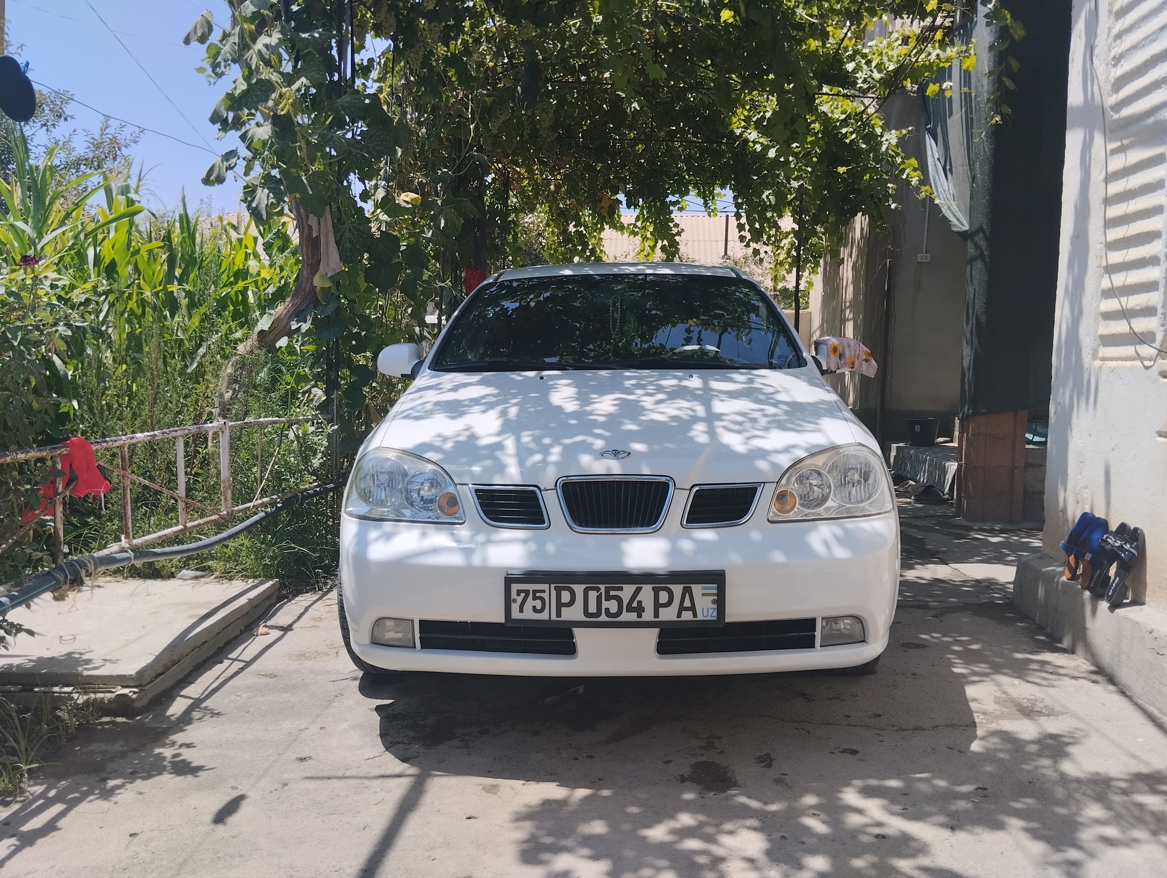 Profile